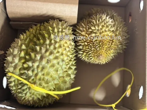 老哥们怎么看榴莲熟了没有呀 - 线报酷