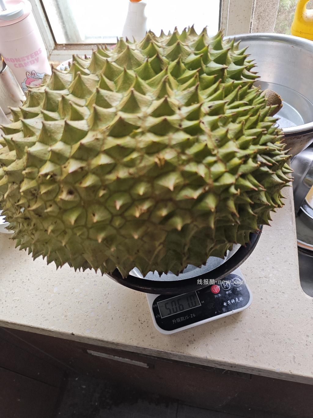 拼多多榴莲很给力啊 - 线报酷