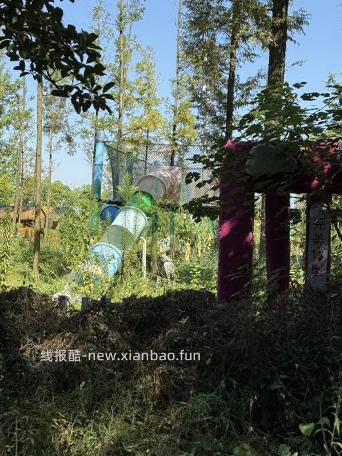 一个游乐场荒废了 - 线报酷