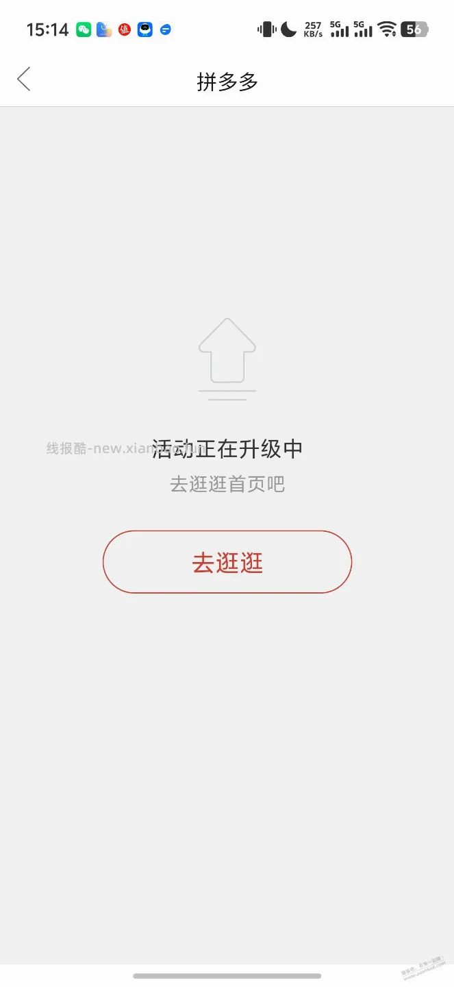 PDD培养小博主计划，微信直接打款 - 线报酷