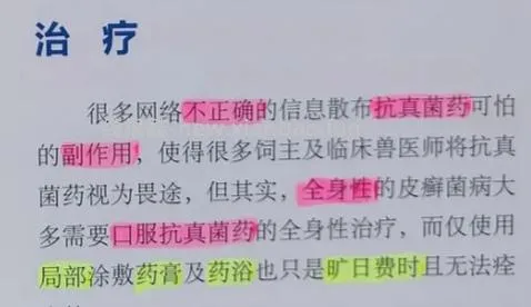 讨论/【科普】激情安利伊曲康唑治疗猫癣!!伊曲康唑真的伤肝吗?辟谣!!! - 线报酷 讨论/【科普】激情安利伊曲康唑治疗猫癣!!伊曲康唑真的伤肝吗?辟谣!!! - 线报酷