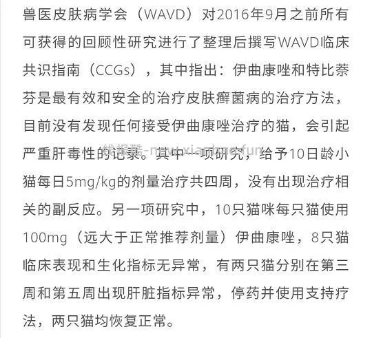 讨论/【科普】激情安利伊曲康唑治疗猫癣!!伊曲康唑真的伤肝吗?辟谣!!! - 线报酷 讨论/【科普】激情安利伊曲康唑治疗猫癣!!伊曲康唑真的伤肝吗?辟谣!!! - 线报酷