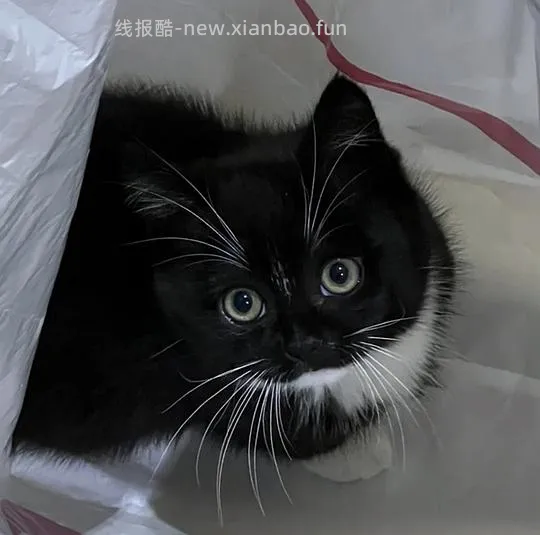 【教程】秒杀脚本➕详细使用方法3.4日更（等学霸支教中…） - 线报酷