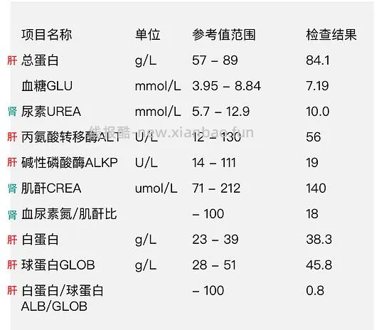 【科普】猫咪年度体检都检了些啥 - 线报酷 【科普】猫咪年度体检都检了些啥 - 线报酷