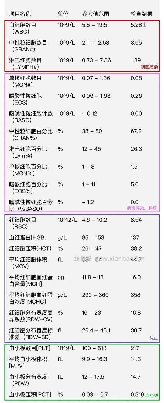 【科普】猫咪年度体检都检了些啥 - 线报酷 【科普】猫咪年度体检都检了些啥 - 线报酷