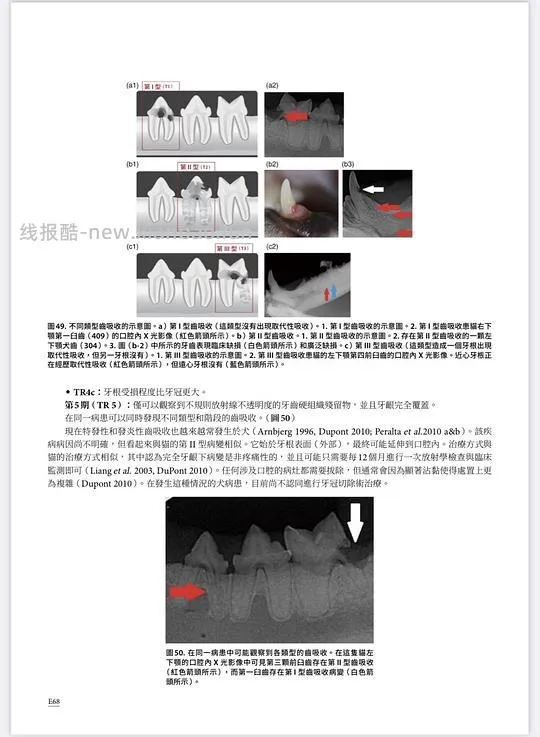 讨论/【科普】八岁小猫牙吸收 拔牙经验分享 - 线报酷