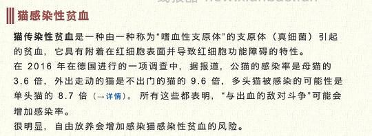 【科普】日本养猫科普网站关于为什么不能散养的文章 - 线报酷 【科普】日本养猫科普网站关于为什么不能散养的文章 - 线报酷