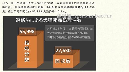 【科普】日本养猫科普网站关于为什么不能散养的文章 - 线报酷 【科普】日本养猫科普网站关于为什么不能散养的文章 - 线报酷