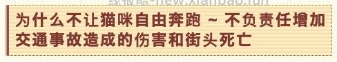 【科普】日本养猫科普网站关于为什么不能散养的文章 - 线报酷 【科普】日本养猫科普网站关于为什么不能散养的文章 - 线报酷
