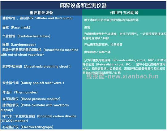 【科普】[养猫笔记07]麻醉（Anesthesia）— 小动物手术最大的风险来源之一（上） - 线报酷