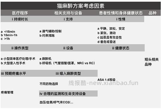 【科普】[养猫笔记07]麻醉（Anesthesia）— 小动物手术最大的风险来源之一（上） - 线报酷