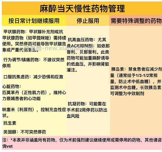 【科普】[养猫笔记07]麻醉（Anesthesia）— 小动物手术最大的风险来源之一（上） - 线报酷