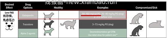 【科普】[养猫笔记07]麻醉（Anesthesia）— 小动物手术最大的风险来源之一（上） - 线报酷