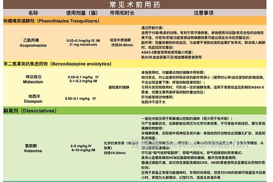 【科普】[养猫笔记07]麻醉（Anesthesia）— 小动物手术最大的风险来源之一（上） - 线报酷
