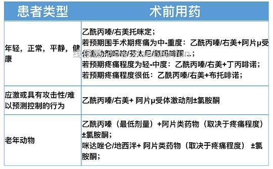【科普】[养猫笔记07]麻醉（Anesthesia）— 小动物手术最大的风险来源之一（上） - 线报酷