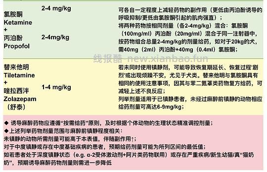 【科普】[养猫笔记07]麻醉（Anesthesia）— 小动物手术最大的风险来源之一（上） - 线报酷