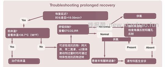 【科普】[养猫笔记07]麻醉（Anesthesia）（下） - 线报酷