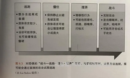 讨论/【科普】“可爱”照片背后的真相原来是这样的，关于猫咪应激需要知道的一些事 - 线报酷