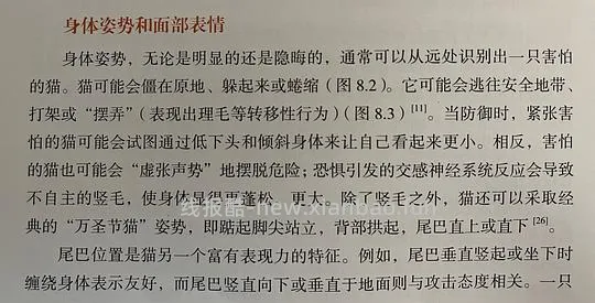 讨论/【科普】“可爱”照片背后的真相原来是这样的，关于猫咪应激需要知道的一些事 - 线报酷