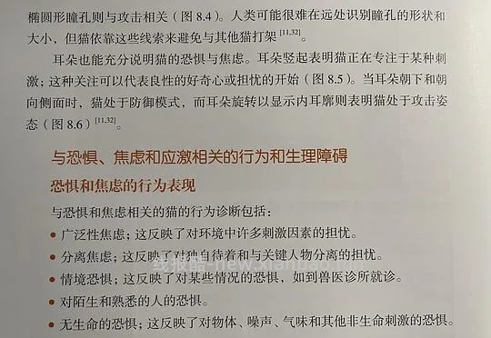 讨论/【科普】“可爱”照片背后的真相原来是这样的，关于猫咪应激需要知道的一些事 - 线报酷