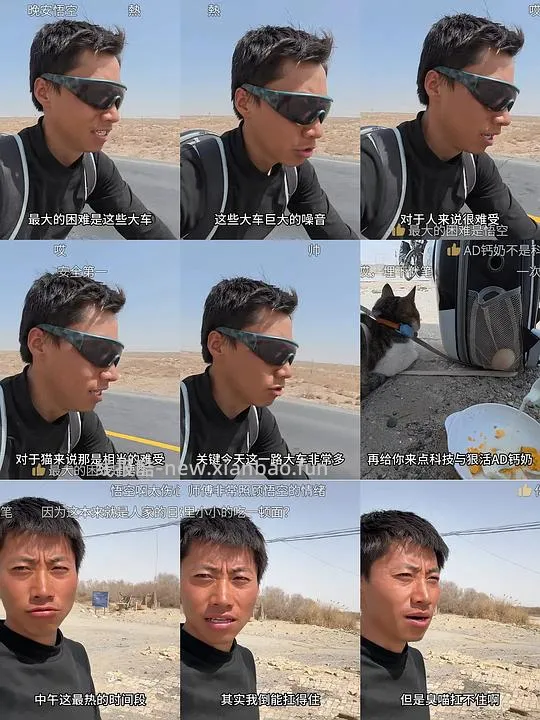 讨论/【科普】“可爱”照片背后的真相原来是这样的，关于猫咪应激需要知道的一些事 - 线报酷