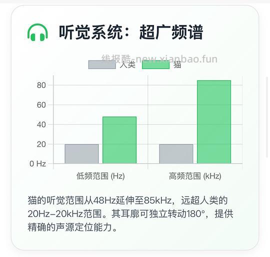 讨论/【科普】猫眼里看到的世界和猫并不想看的世界💁🏻请停止幻想，猫不需要这些 - 线报酷