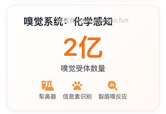 讨论/【科普】猫眼里看到的世界和猫并不想看的世界💁🏻请停止幻想，猫不需要这些 - 线报酷