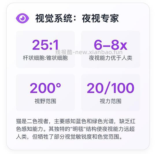 讨论/【科普】猫眼里看到的世界和猫并不想看的世界💁🏻请停止幻想，猫不需要这些 - 线报酷