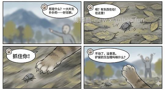 讨论/【科普】猫眼里看到的世界和猫并不想看的世界💁🏻请停止幻想，猫不需要这些 - 线报酷