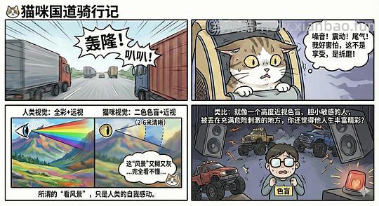 讨论/【科普】养猫科普漫画，不定期更新中（2.10 更新封窗、新手养猫误区科普） - 线报酷