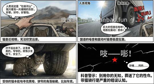 讨论/【科普】养猫科普漫画，不定期更新中（2.10 更新封窗、新手养猫误区科普） - 线报酷