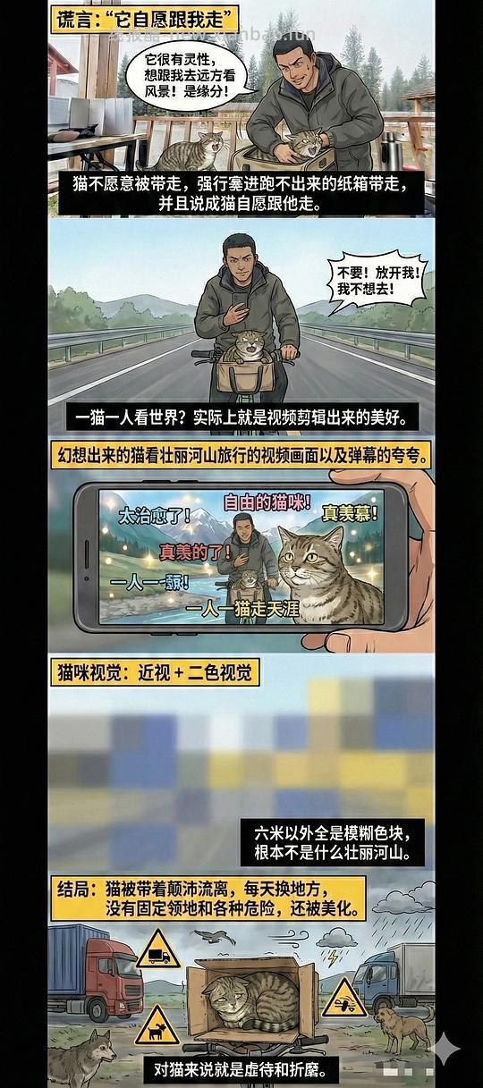 讨论/【科普】养猫科普漫画，不定期更新中（2.10 更新封窗、新手养猫误区科普） - 线报酷