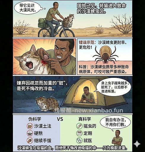 讨论/【科普】养猫科普漫画，不定期更新中（2.10 更新封窗、新手养猫误区科普） - 线报酷