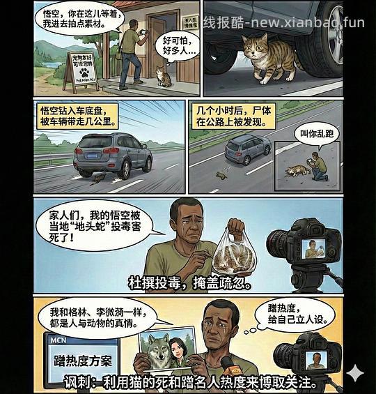 讨论/【科普】养猫科普漫画，不定期更新中（2.10 更新封窗、新手养猫误区科普） - 线报酷