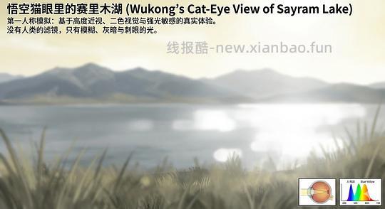 讨论/【科普】养猫科普漫画，不定期更新中（2.10 更新封窗、新手养猫误区科普） - 线报酷