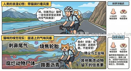 讨论/【科普】养猫科普漫画，不定期更新中（2.10 更新封窗、新手养猫误区科普） - 线报酷