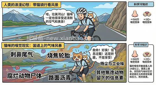 【科普】养猫科普漫画,持续更新中(1.17更新猫视觉听觉嗅觉、应激呕吐、消化呼吸泌尿系统、新猫到家、后院科普) - 线报酷 【科普】养猫科普漫画,持续更新中(1.17更新猫视觉听觉嗅觉、应激呕吐、消化呼吸泌尿系统、新猫到家、后院科普) - 线报酷