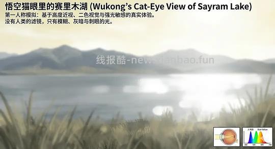 【科普】养猫科普漫画,持续更新中(1.17更新猫视觉听觉嗅觉、应激呕吐、消化呼吸泌尿系统、新猫到家、后院科普) - 线报酷 【科普】养猫科普漫画,持续更新中(1.17更新猫视觉听觉嗅觉、应激呕吐、消化呼吸泌尿系统、新猫到家、后院科普) - 线报酷