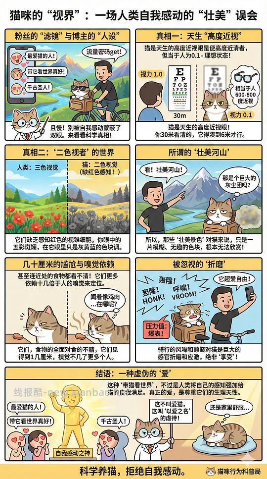 讨论/【科普】猫眼里看到的世界和猫并不想看的世界💁🏻请停止幻想，猫不需要这些 - 线报酷