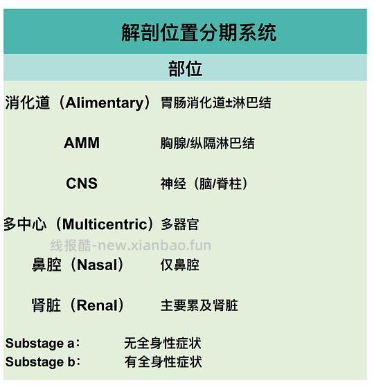 【科普】[养猫笔记08] 猫淋巴瘤（Feline Lymphoma）概述（1） - 线报酷