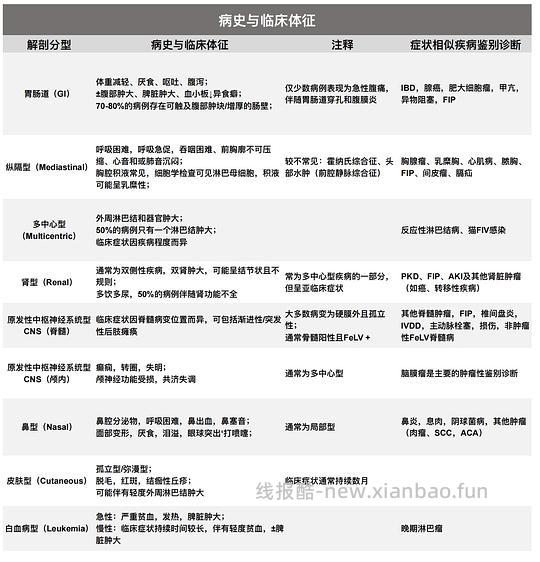 【科普】[养猫笔记08] 猫淋巴瘤（Feline Lymphoma）概述（1） - 线报酷