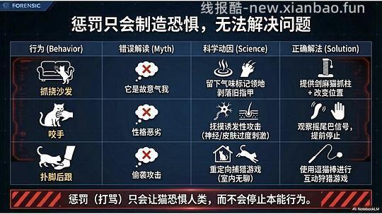 讨论/【科普】拟人化投射和科学指南 - 线报酷