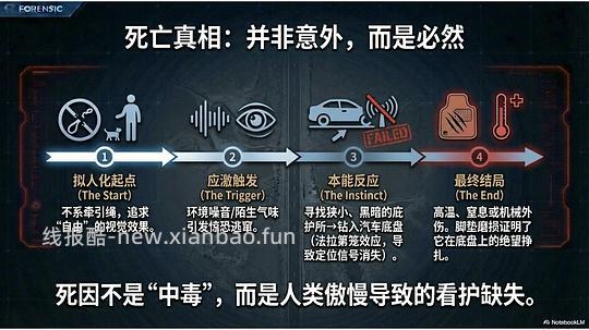 讨论/【科普】拟人化投射和科学指南 - 线报酷