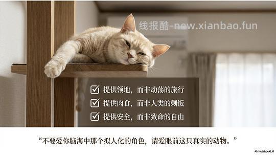 讨论/【科普】拟人化投射和科学指南 - 线报酷