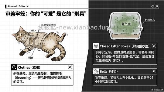 讨论/【科普】拟人化投射和科学指南 - 线报酷