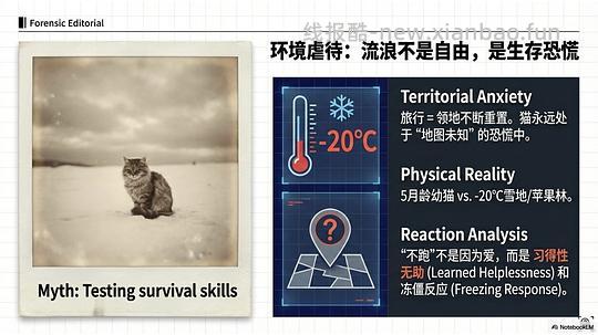 讨论/【科普】拟人化投射和科学指南 - 线报酷