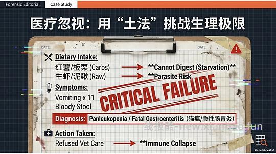 讨论/【科普】拟人化投射和科学指南 - 线报酷