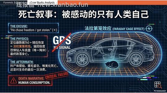 讨论/【科普】拟人化投射和科学指南 - 线报酷
