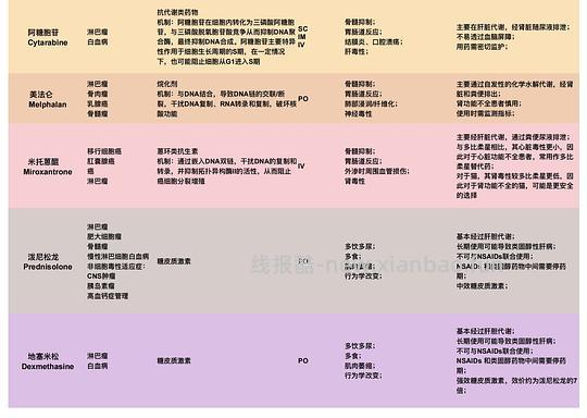 【科普】猫淋巴瘤概述（2） - 线报酷