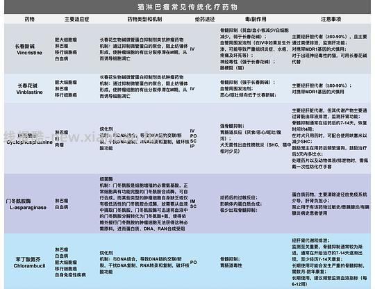 【科普】猫淋巴瘤概述（2） - 线报酷